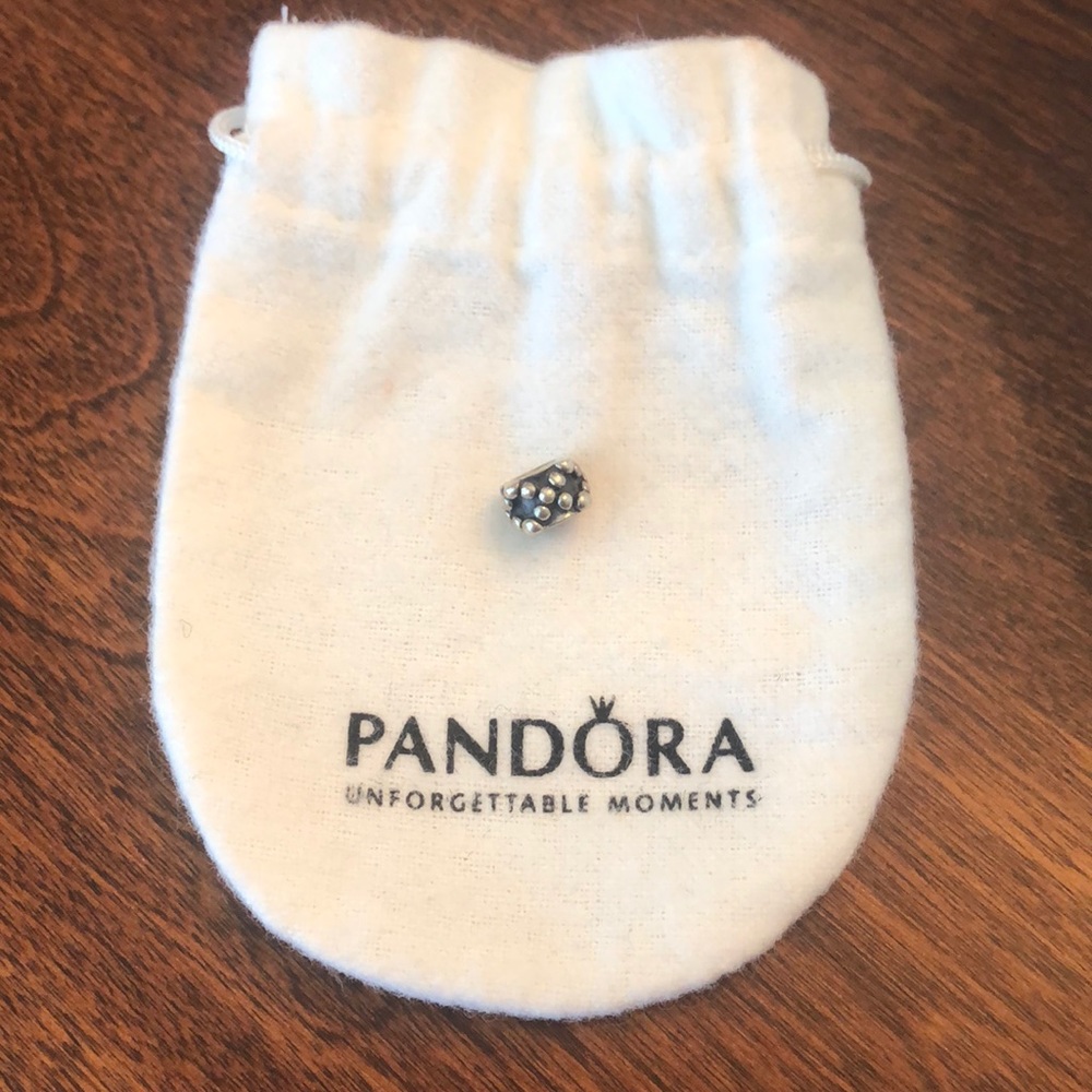 Pandora Charm